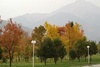 almaty (98).jpg